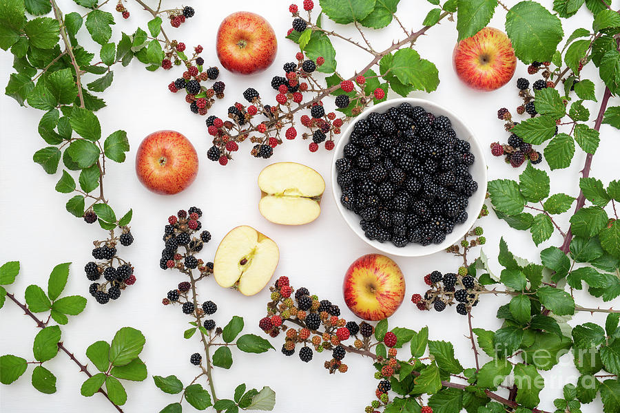 Blackberries and Apples Pattern Photograph by Tim Gainey