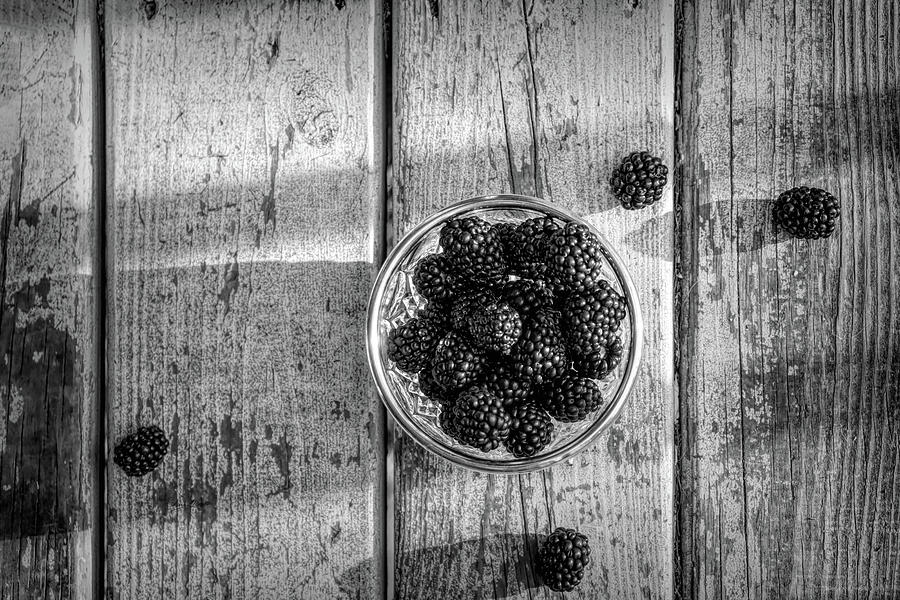 Blackberry Bowl Black And White Photograph by Sharon Popek