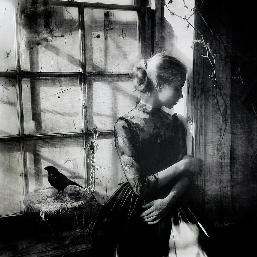 Blackbird Has Spoken Photograph by Craig J Satterlee