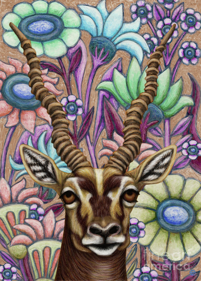 Blackbuck Floral Painting by Amy E Fraser