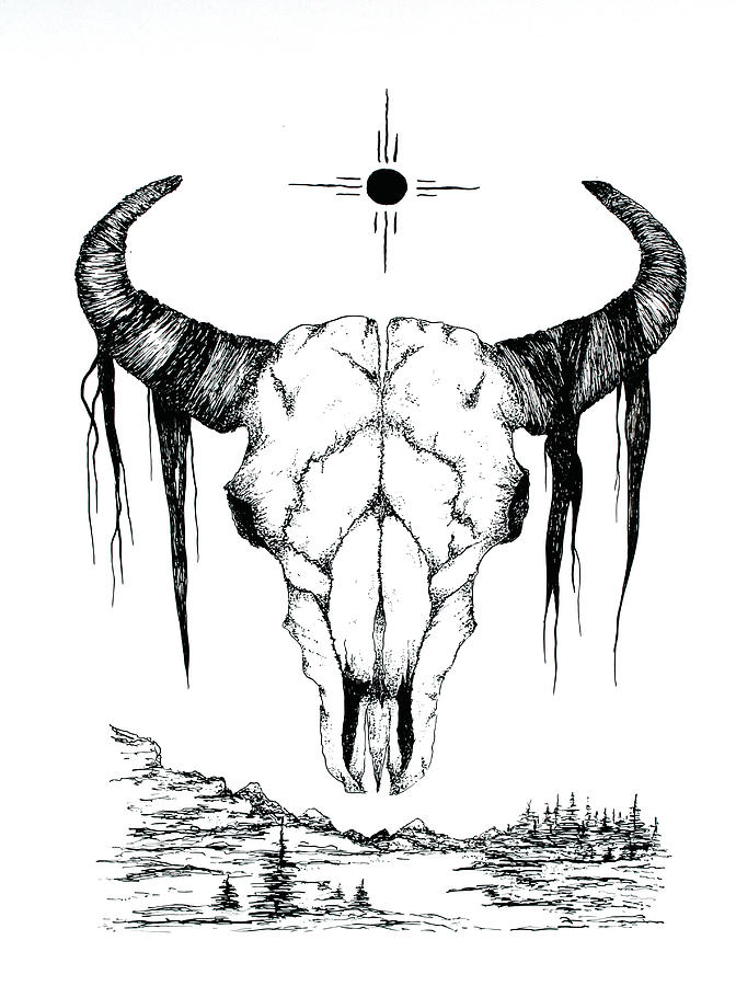 Buffalo Drawing - Blackfoot Buffalo by Colleen Gray