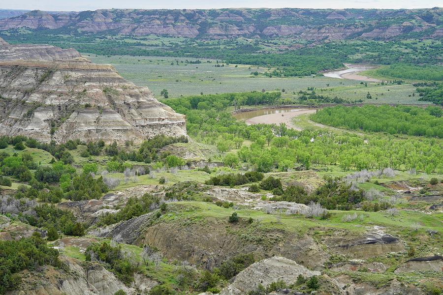 Verdant Valley - Theodore Roosevelt NP Photograph by Jacob Lips - Fine ...