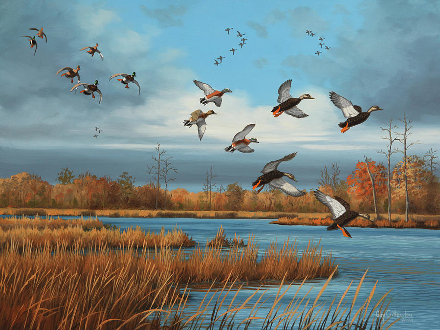 Blacks, Wigeon and Mallards Painting by Guy Crittenden