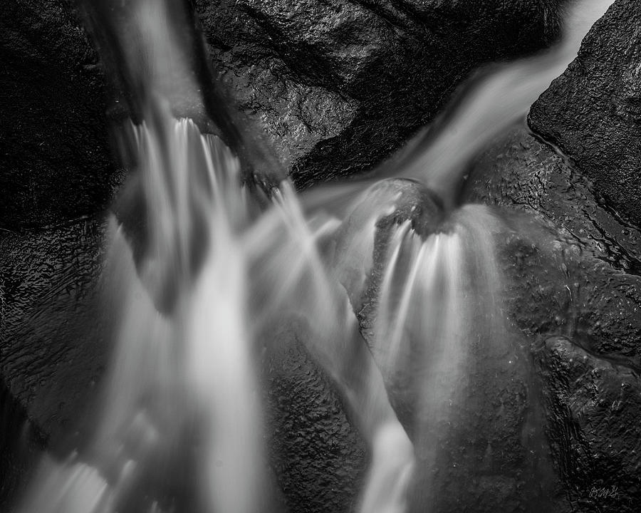 Blackstone River LII BW Photograph by David Gordon