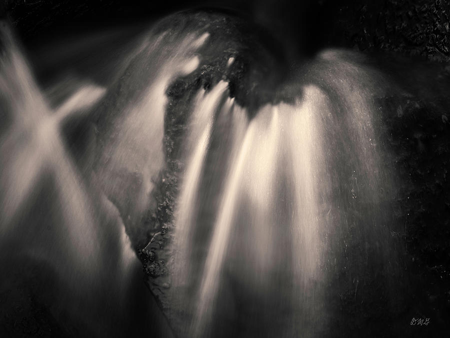 Blackstone River LIV Toned Photograph by David Gordon