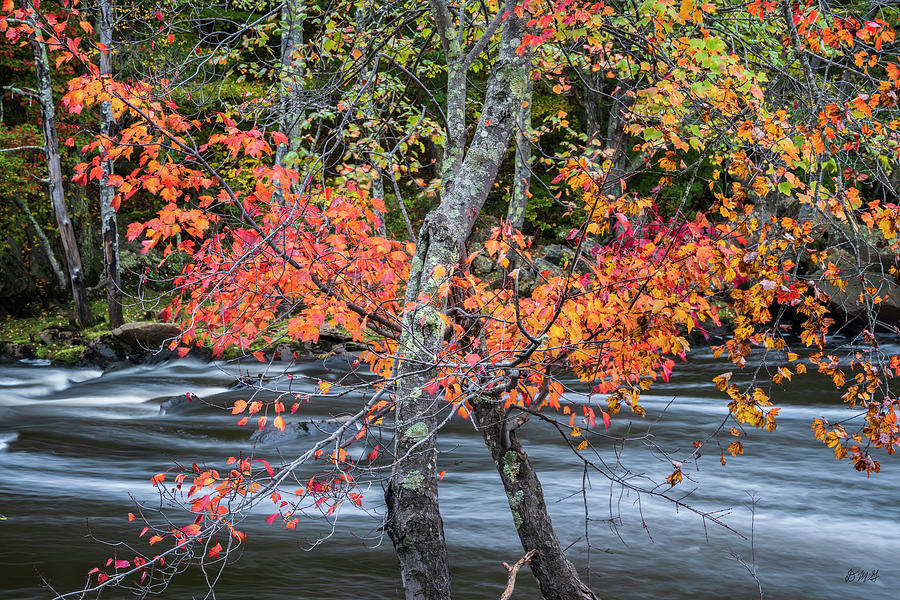 Blackstone River LVI Color Photograph by David Gordon
