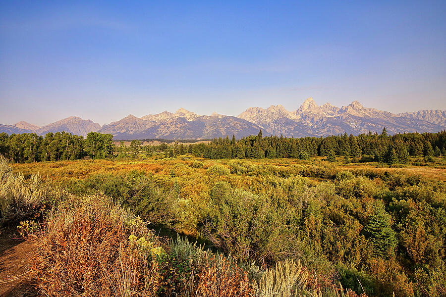 Blacktail Ponds 3 Photograph By Judy Vincent - Fine Art America