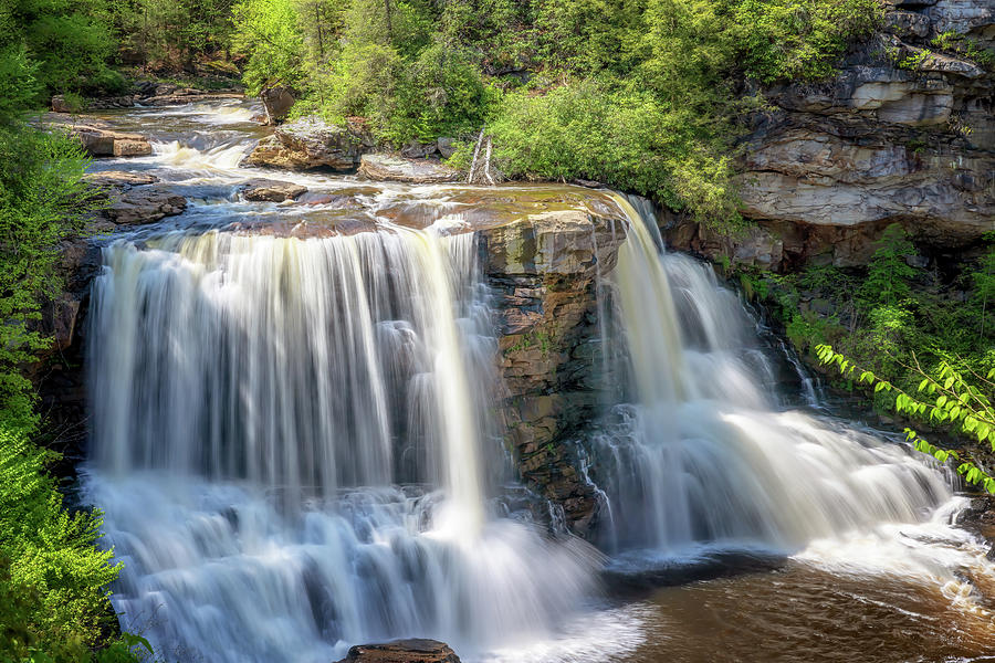 Blackwater Falls - Davis, West Virginia Photograph by Susan Rissi Tregoning
