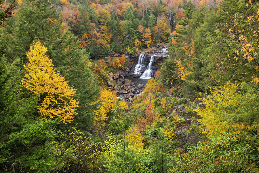 Blackwater Falls in Autumn Photograph by Fran Gallogly