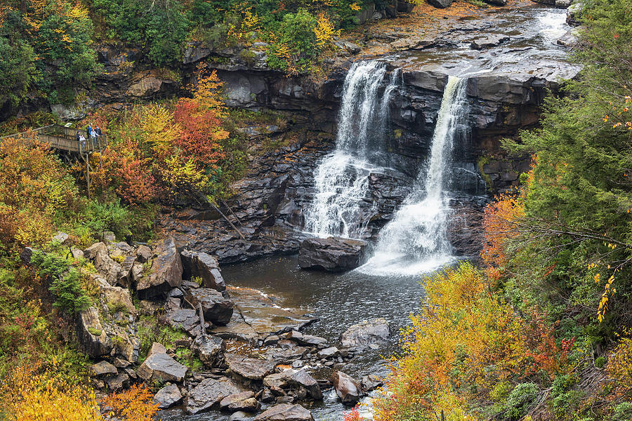 Blackwater Falls in Fall Photograph by Fran Gallogly
