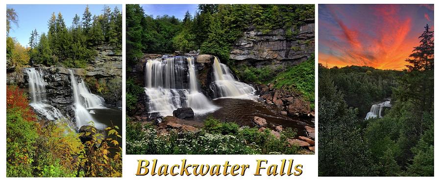 Blackwater Falls Mug Photograph by Jeff Burcher