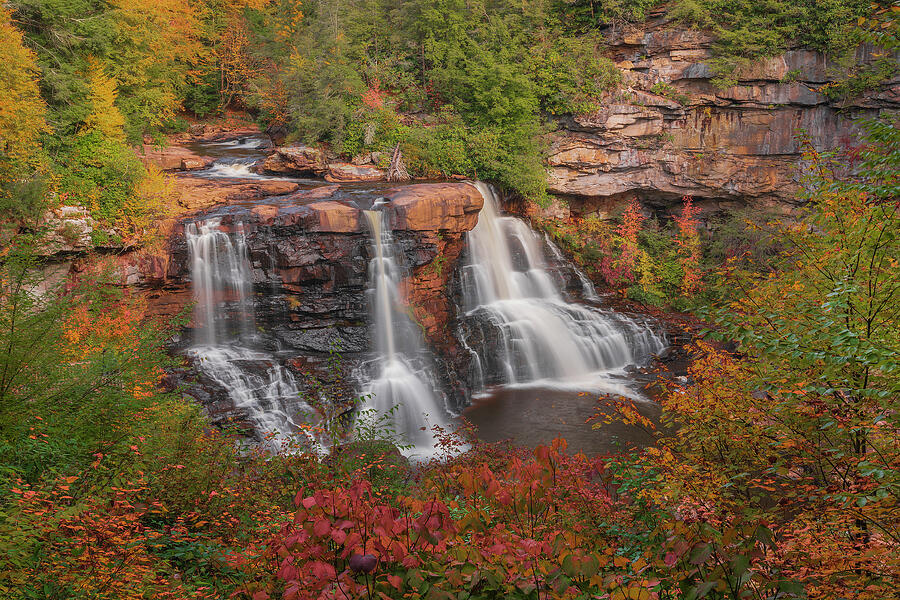 Blackwater Falls, WV Photograph by Wayne Letsch