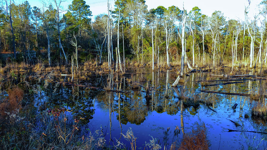 Blackwater Pond Photograph by Brian Hare | Pixels