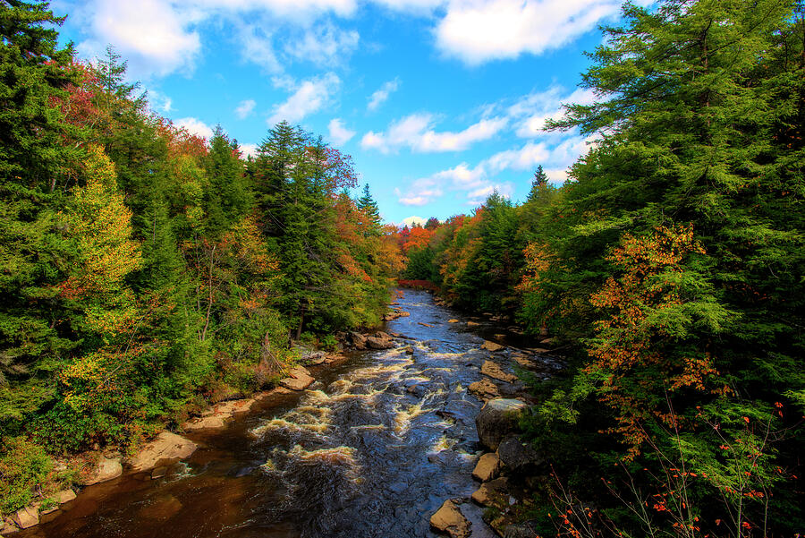 Fall Photograph - Blackwater River running through the woods by Dan Friend
