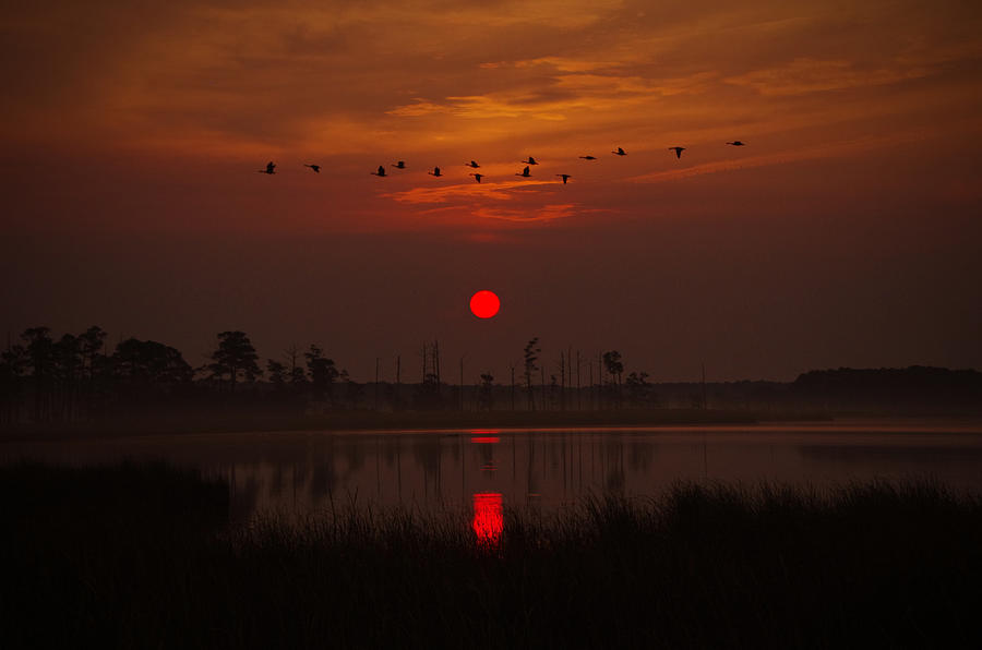 Blackwater Sunrise Photograph by Bob Geary