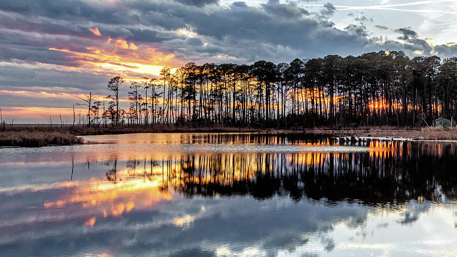 Blackwater Tranquility  Photograph by C  Renee Martin