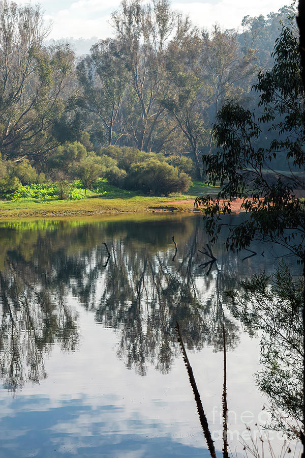 Blackwood Reflections, Bridgetown, Western Australia #3 Photograph by Elaine Teague