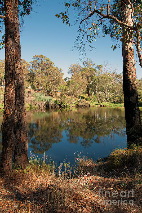 Blackwood River, Bridgetown, Western Australia 3 Photograph by Elaine Teague