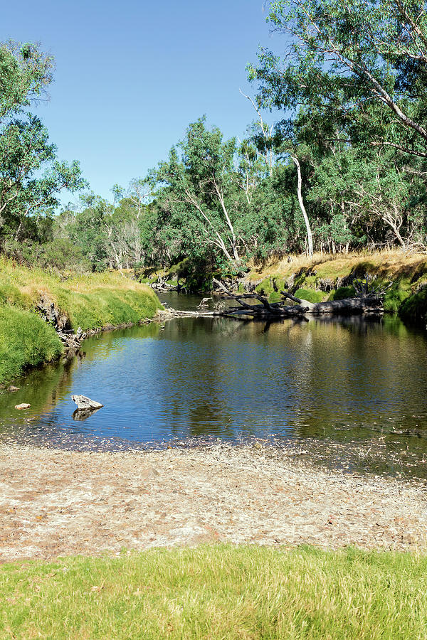 Blackwood River, Bridgetown, Western Australia 7 Photograph by Elaine Teague