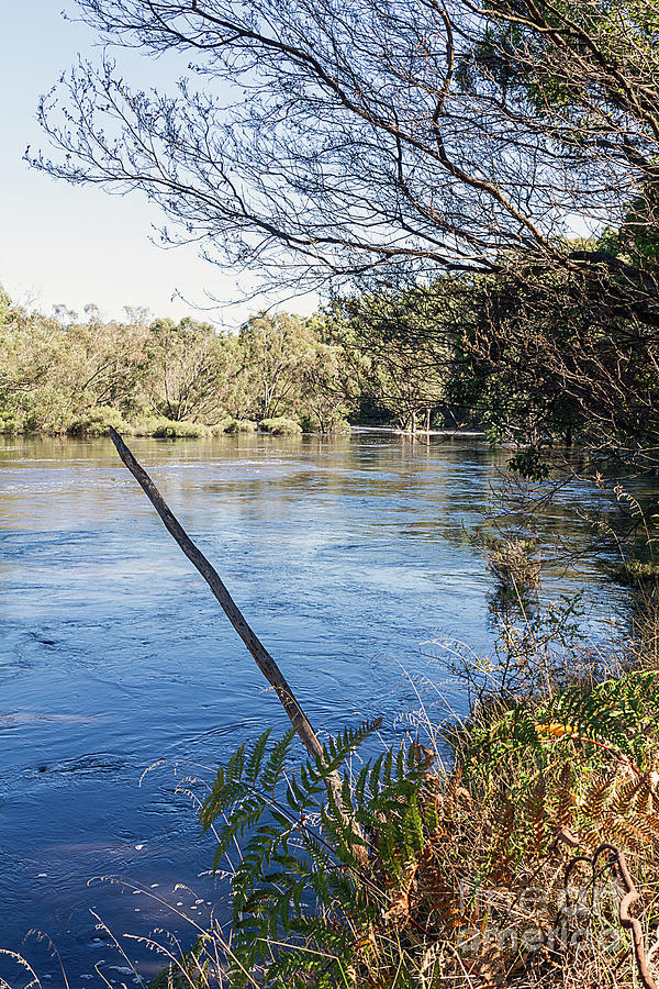 Blackwood River on the Rise, Bridgetown, Western Australia Photograph by Elaine Teague