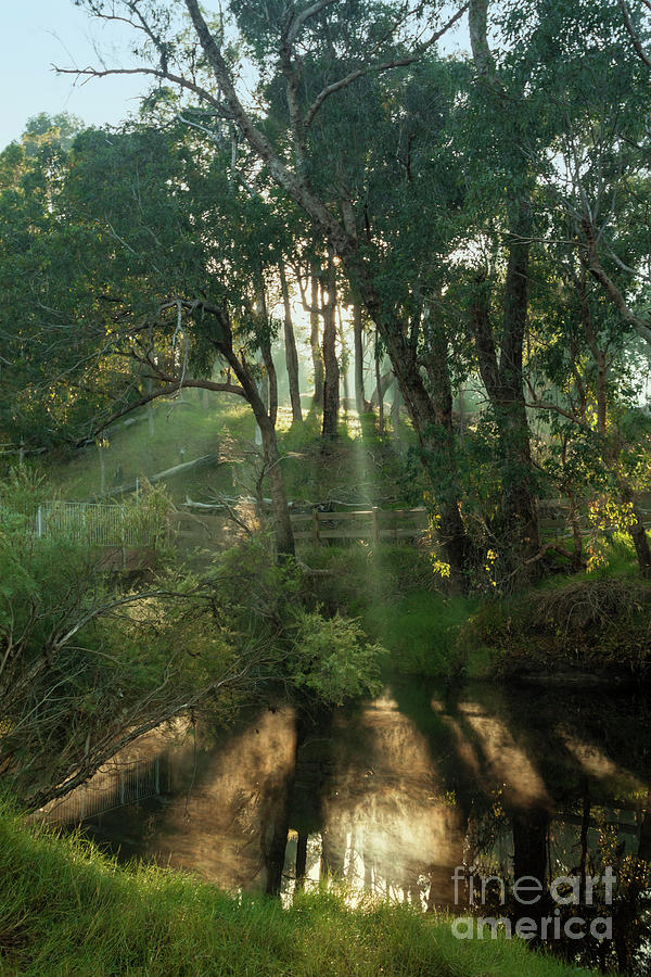 Blackwood River Sun Rays Photograph by Elaine Teague