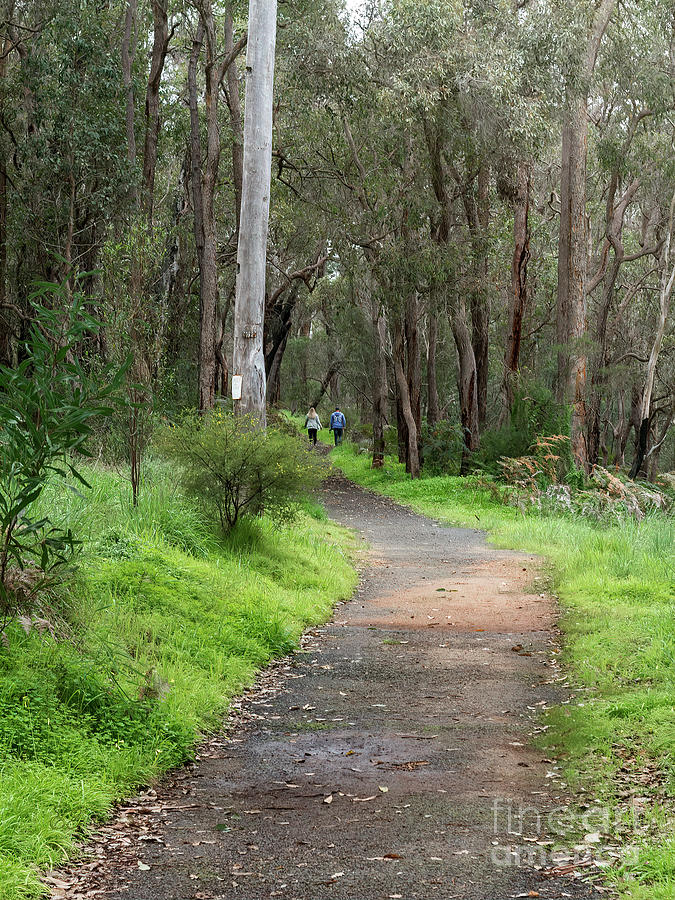 Blackwood River Walk Trail, Bridgetown, Western Australia Photograph by Elaine Teague