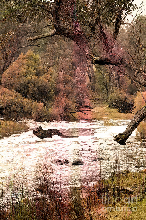 Blackwood  River, Winnejup, Western Australia Photograph by Elaine Teague