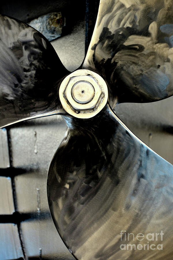 blade born blade born