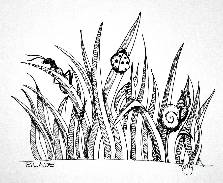 Blades of Grass Drawing by Amy Stielstra