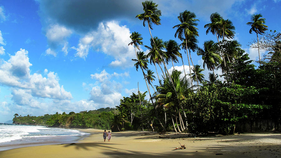 Blanchisseuse Bay, North Coast, Trinidad Photograph by Earth And Spirit