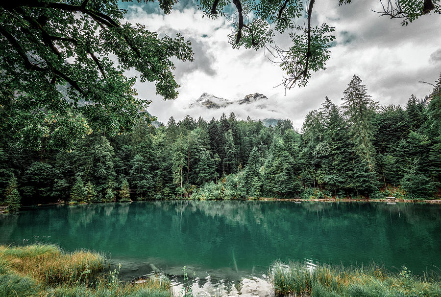 Blausee - Blue Lake - Kander Valley, Switzerland Photograph by Benoit Bruchez