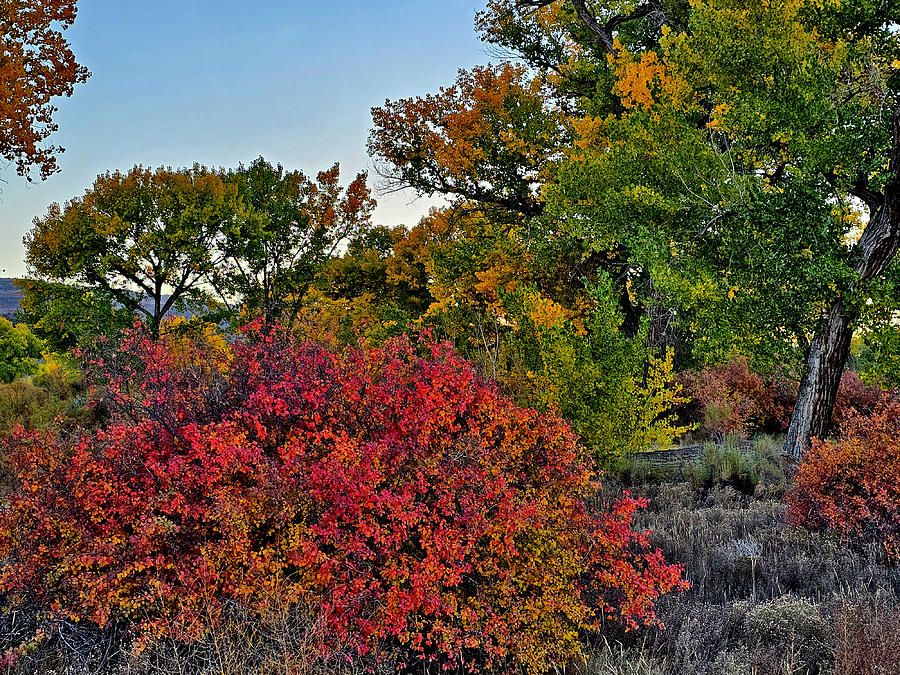 Blazing Fall Colors along I-70 Photograph by Ray Mathis