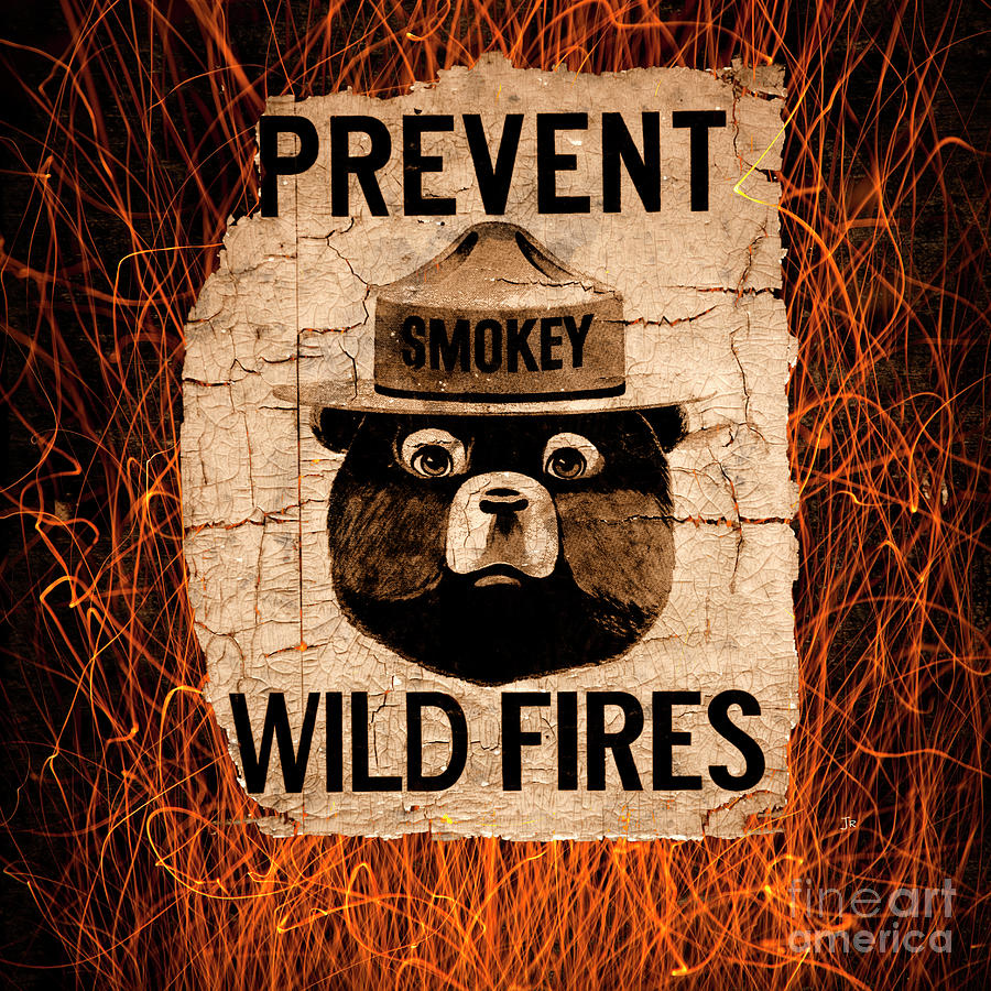 Blazing Orange Smokey The Bear Prevent Wild Fires Digital Art by Lone ...