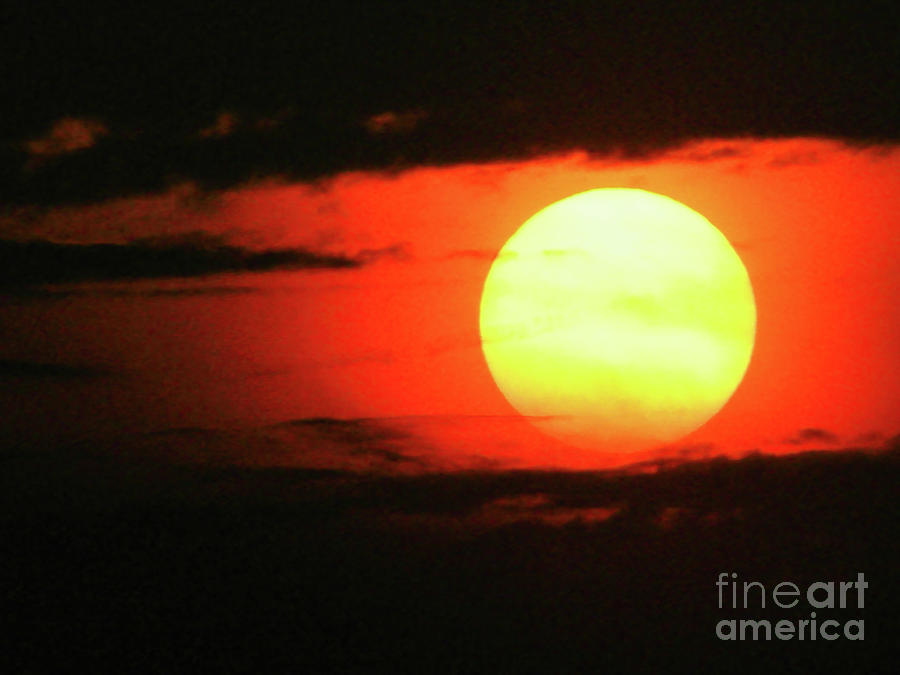 Blazing Summer Sun Photograph by Darin Bokeno - Fine Art America