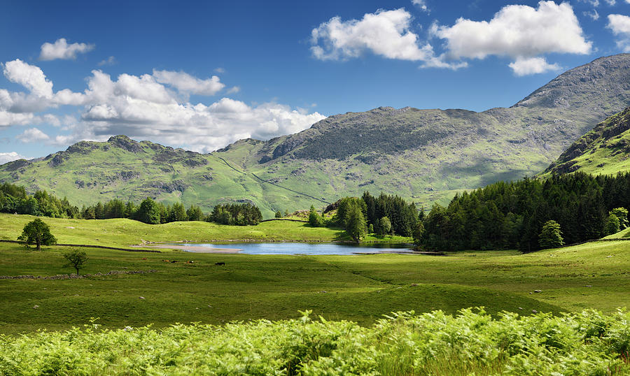 Blea Tarn pond in Little langdale valley with Wetherlam and Birk Photograph by Reimar Gaertner