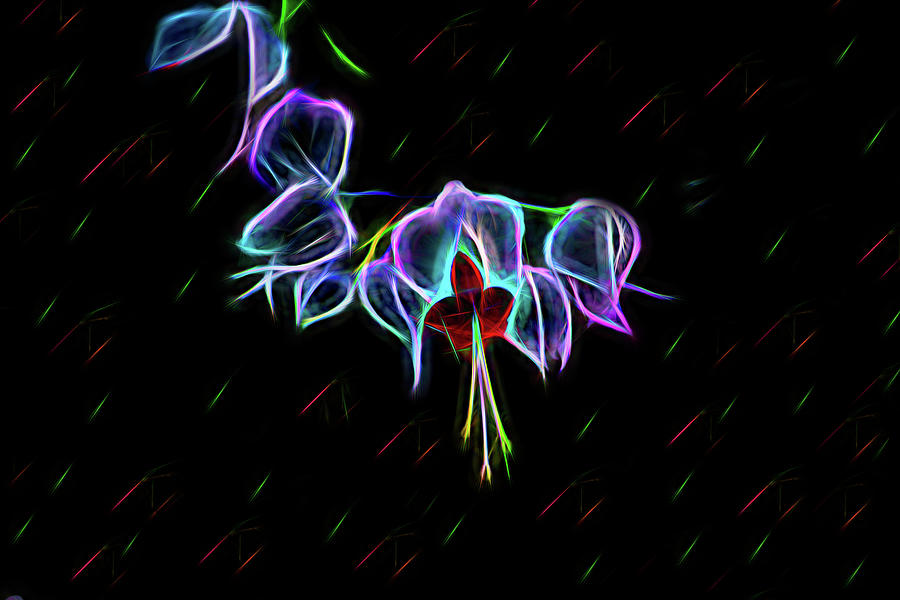 Bleeding Heart Floral Neon Dance Photograph by Aimee L Maher ALM GALLERY