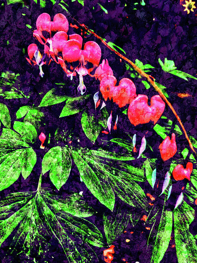 Bleeding heart with a lichen texture overlay Digital Art by Bruce Block