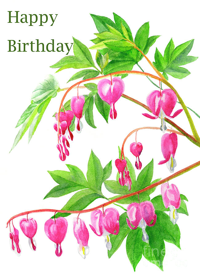 Bleeding Hearts Birthday Card Painting by Sharon Freeman - Fine Art America