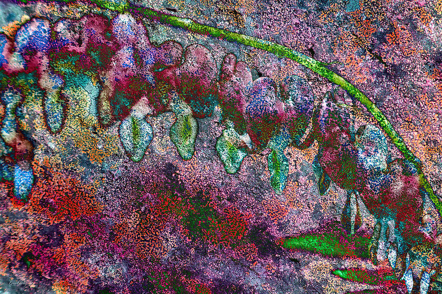 Bleeding Hearts - Lichen texture Digital Art by Bruce Block