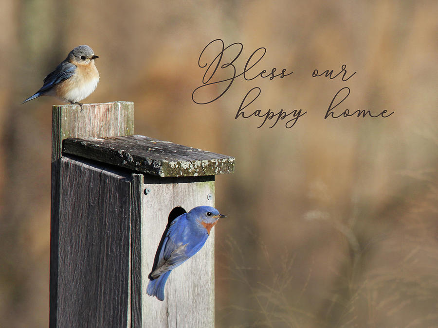 Bless Our Happy Home Photograph by Lori Deiter
