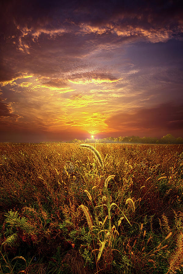 Blessed Be The Day Photograph by Phil Koch