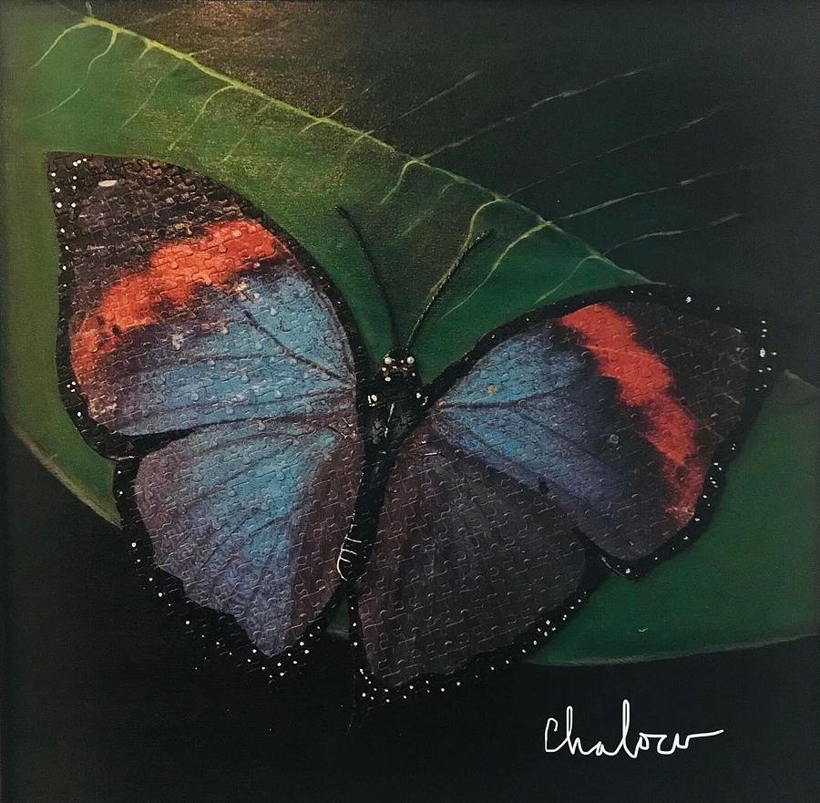 Blessed Butterfly Painting by Charles Young