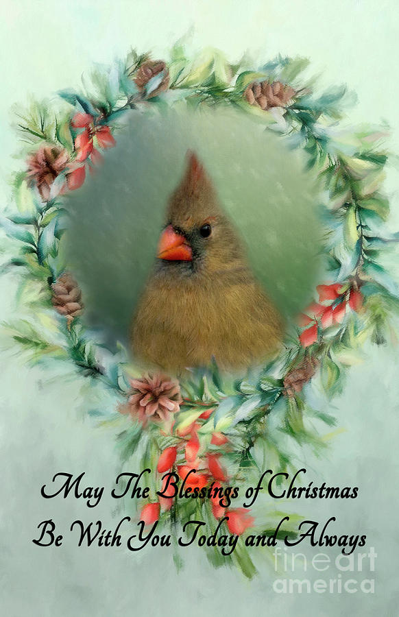 Blessings of Christmas Cardinal Photograph by Pam Holdsworth
