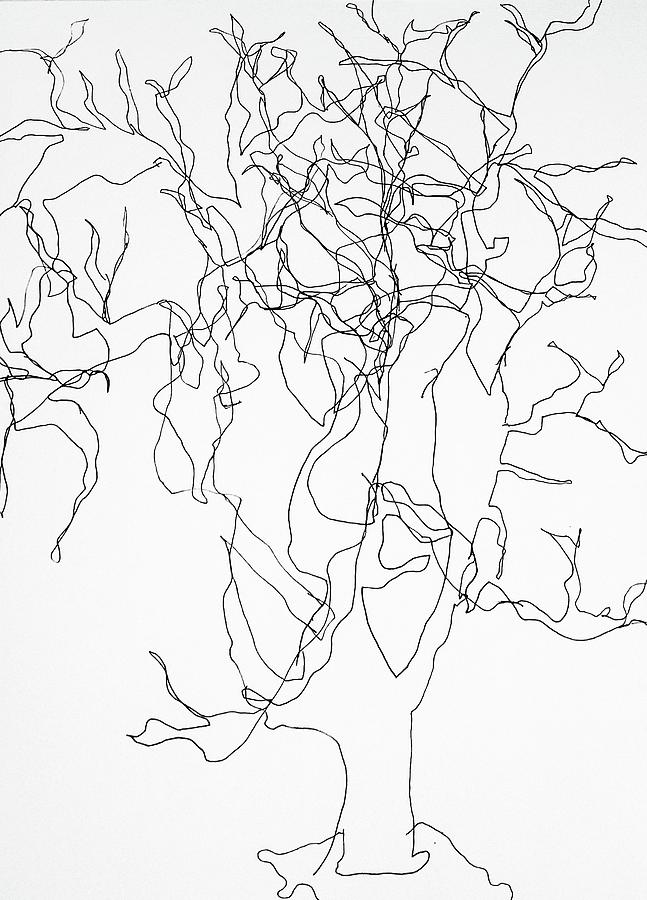 Blind contour Drawing by Stacy Holden