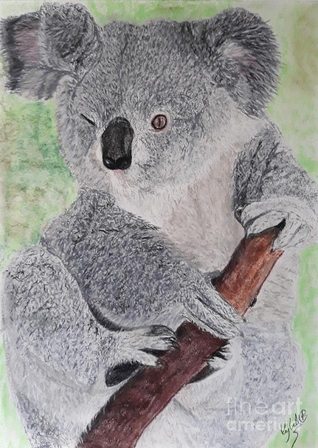 Koala Blinking  Pastel by Cybele Chaves