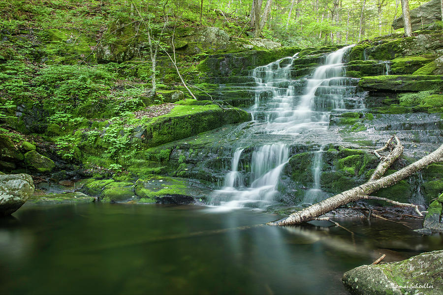 Bliss Pool of Falls Brook  Photograph by TS Photo