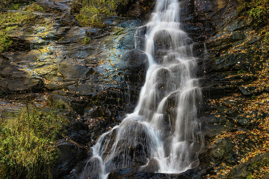 Blissful Cascade Photograph by Dodie Ross Blissful Cascade Photograph by Dodie Ross