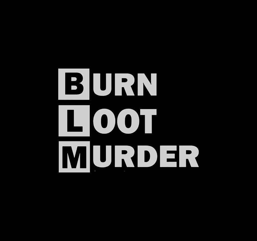 I Hear They Burn for Murder by J.L. Aarne