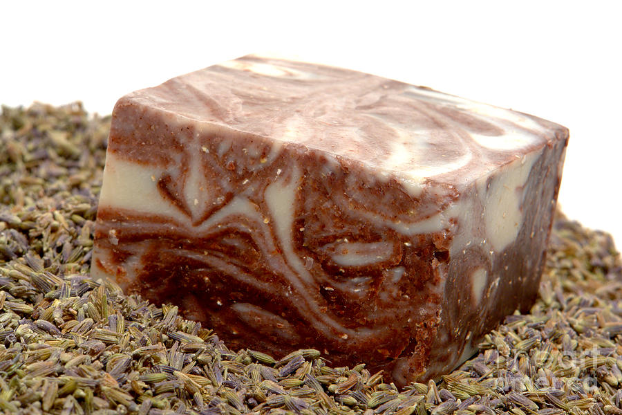 Block of Organic Soap in Lavender Seed Bed Photograph by Olivier Le Queinec