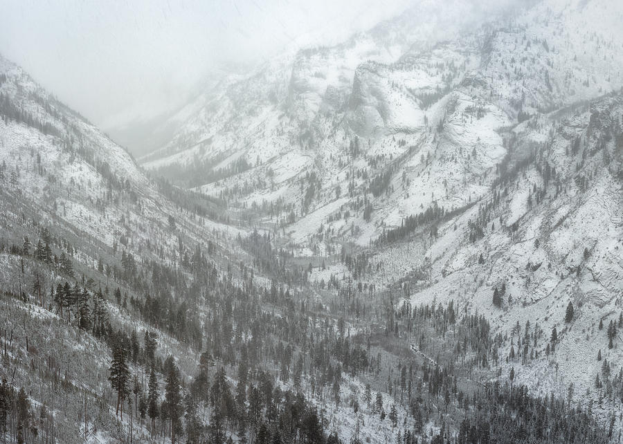 Winter Photograph - Blodgett Canyon Snowstorm by Matt Hammerstein